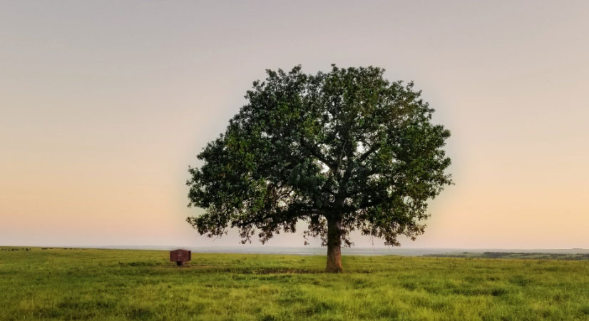 肩負重擔 推動我國經濟、社會<br>環(huán)境全面協(xié)調可持續(xù)發(fā)展